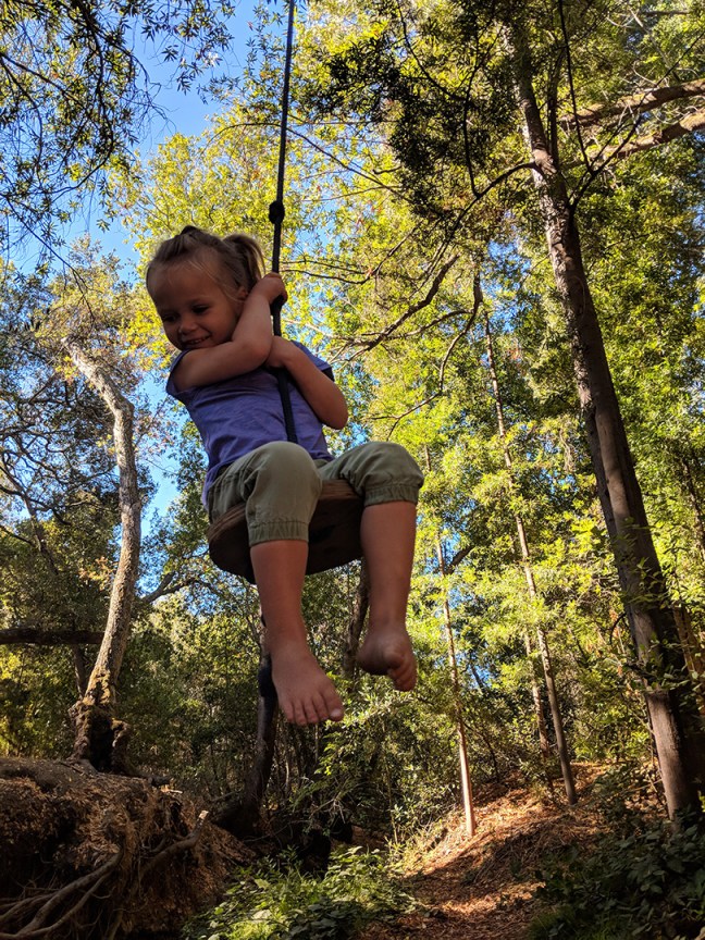 IMG_20181008_103918_web