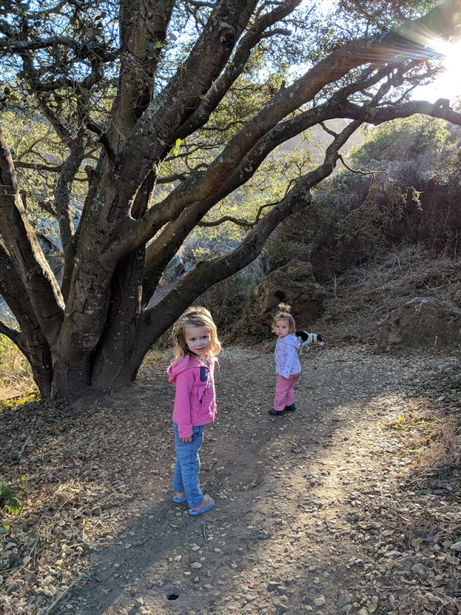 IMG_20181011_171135_web